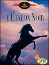 l'étalon noir